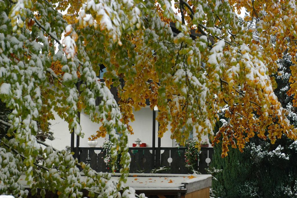 Apartamento Landhaus Alpenblick Garmisch-Partenkirchen Exterior foto